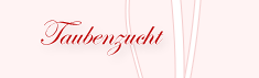 Taubenzucht