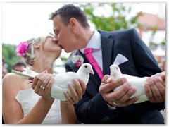 Paar 9/3 Hochzeitstauben Leipzig Markkleeberg Grimma u. v. Orte mehr