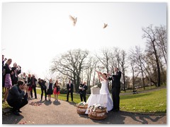Paar 30/2 Hochzeitstauben Leipzig Markkleeberg Grimma u. v. Orte mehr
