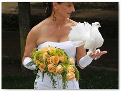 Paar 32/1 Hochzeitstauben Leipzig Markkleeberg Grimma u. v. Orte mehr