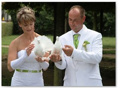 Paar 32/3 Hochzeitstauben Leipzig Markkleeberg Grimma u. v. Orte mehr