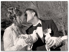 Paar 20/2 Hochzeitstauben Leipzig Markkleeberg Grimma u. v. Orte mehr