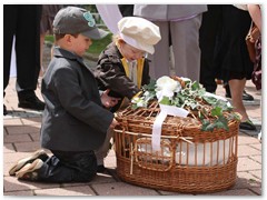 Paar 25/1 Hochzeitstauben Leipzig Markkleeberg Grimma u. v. Orte mehr