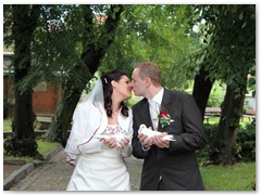 Paar 7/1 Hochzeitstauben Leipzig Markkleeberg Grimma u. v. Orte mehr